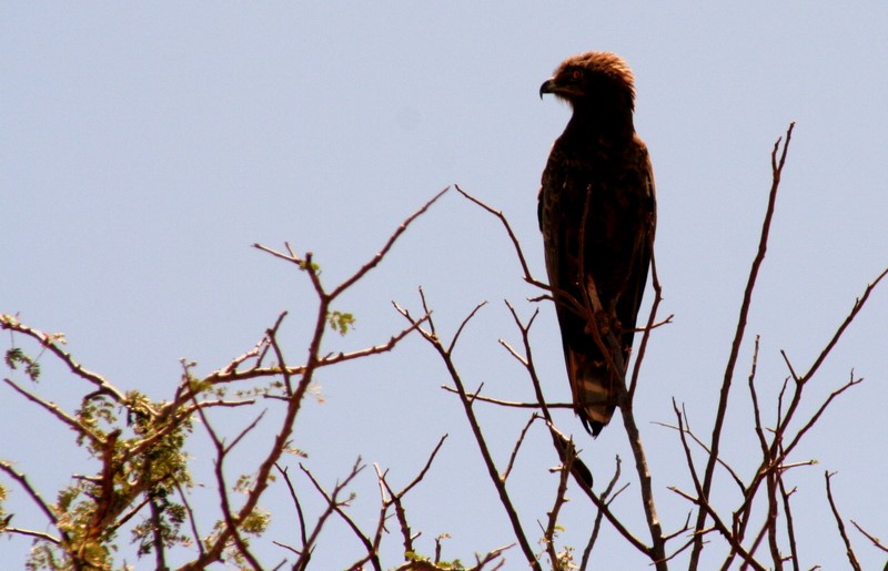 kenya_2007_0553